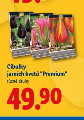 Cibulky jarních květů 