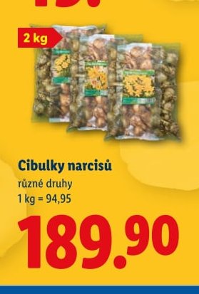 Cibulky narcisů