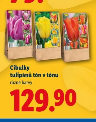 Cibulky tulipánů tón v tónu