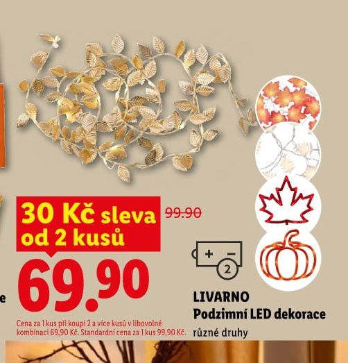 LIVARNO Podzimní LED dekorace