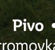 Pivo