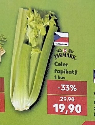 Celer řapíkatý