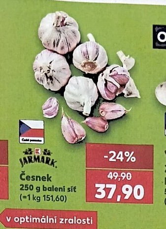 Česnek