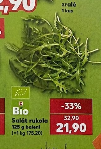 Salát rukola