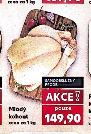 Mladý kohout