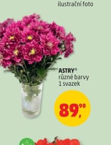 ASTRY