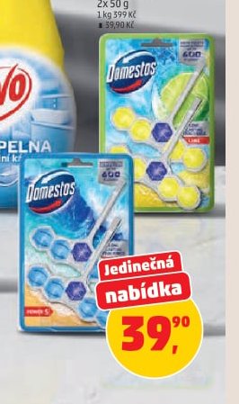 WC blok Power Domestos