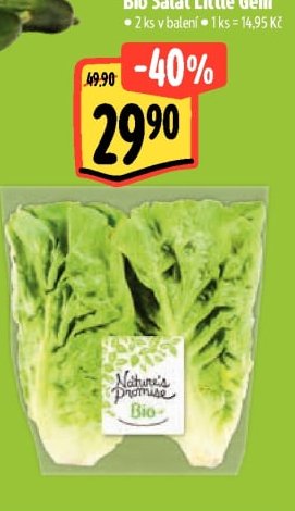 Nature's Promise Bio Salát Little Gem