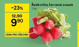 Ředkvička červená svazek