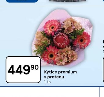 Kytice premium s proteou
