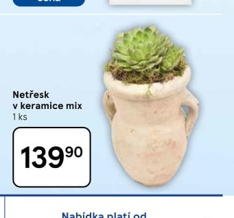 Netřesk v keramice mix