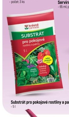 Substrát pro pokojové rostliny a palmy