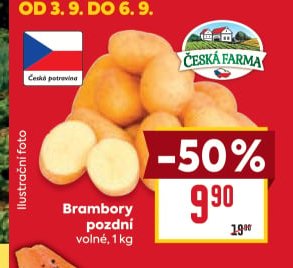 Brambory pozdní