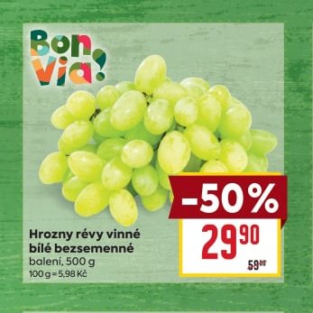 Hrozny révy vinné bílé bezsemenné