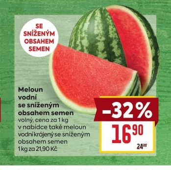 Meloun vodní