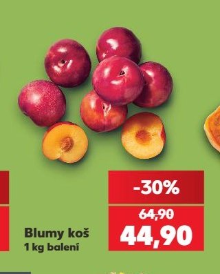 Blumy koš