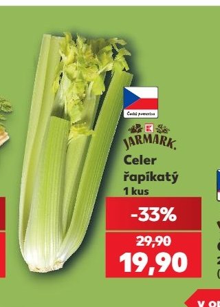 Celer řapíkatý