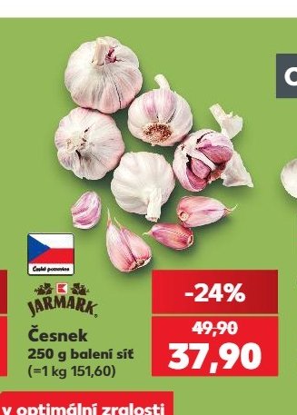 Česnek