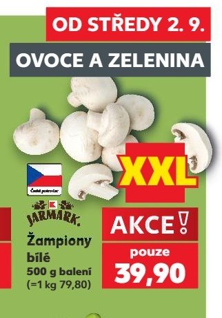 Žampiony bílé