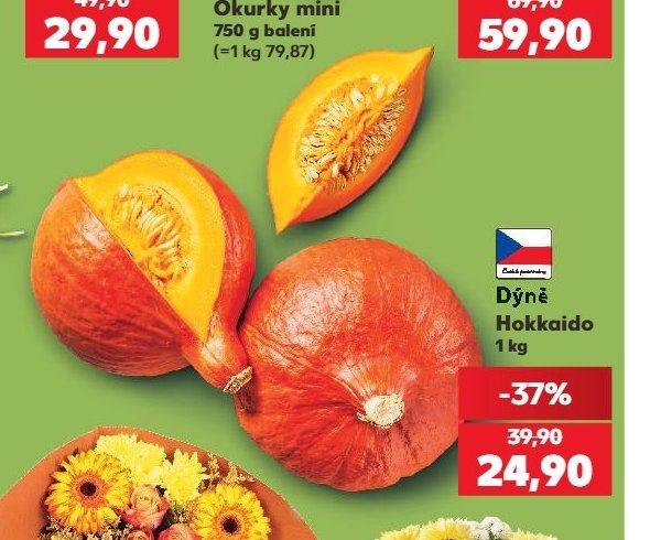Dýně Hokkaido