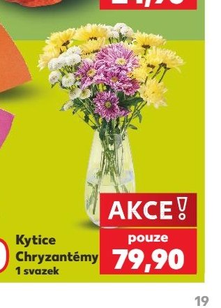 Kytice Chryzantémy