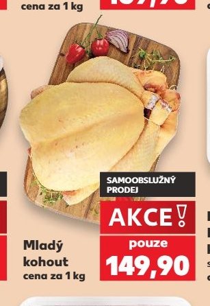 Mladý kohout