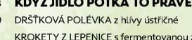 DRŠŤKOVÁ POLÉVKA z hlívy ústřičné