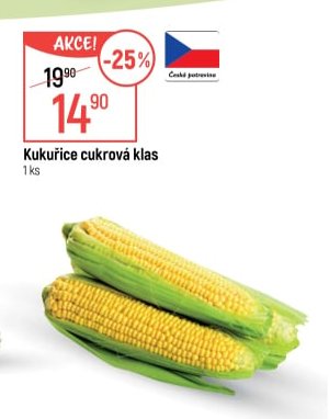 Kukuřice cukrová klas