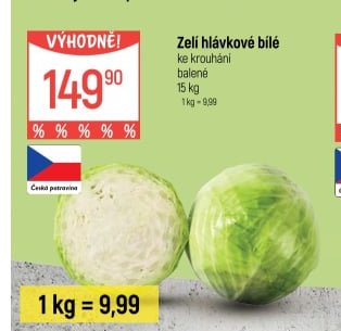Zelí hlávkové bílé