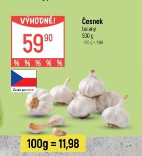 Česnek
