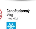 Candát obecný