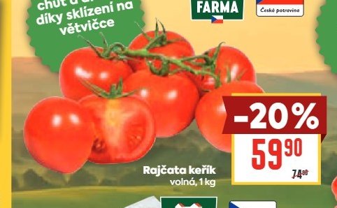 Rajčata keřík