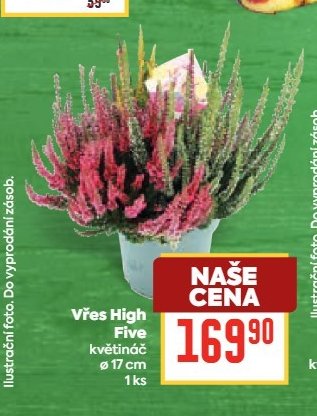 Vřes High Five