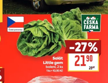 Salát Little gem