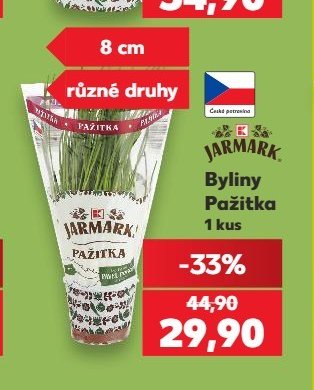Byliny Pažitka
