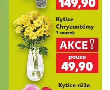 Kytice Chryzantémy