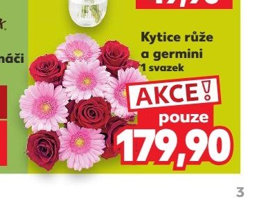 Kytice růže a germini