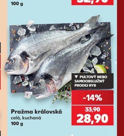 Pražma královská