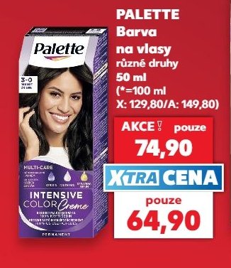 PALETTE Barva na vlasy