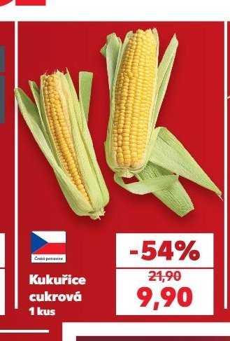Kukuřice cukrová