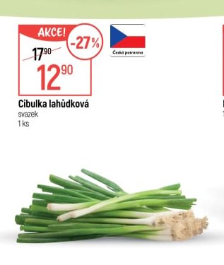 Cibulka lahůdková