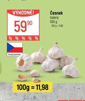 Česnek