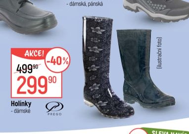 Holínky dámské