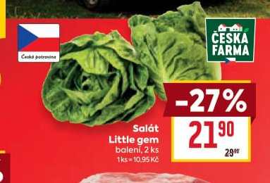 Salát Little gem