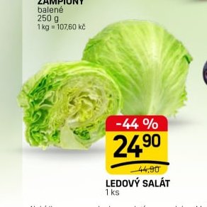 Ledový salát