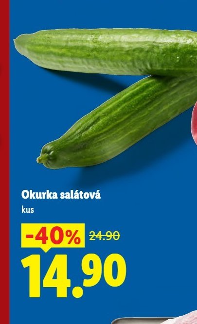 Okurka salátová