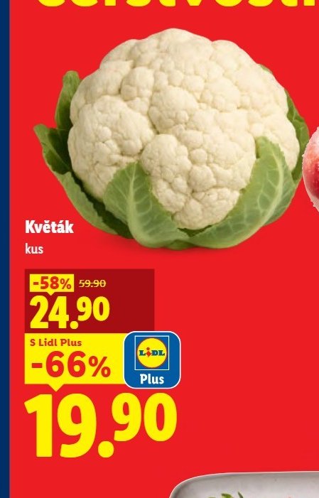 Květák