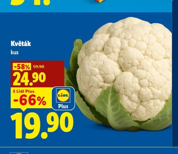 Květák kus