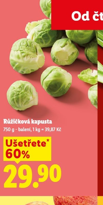 Růžičková kapusta