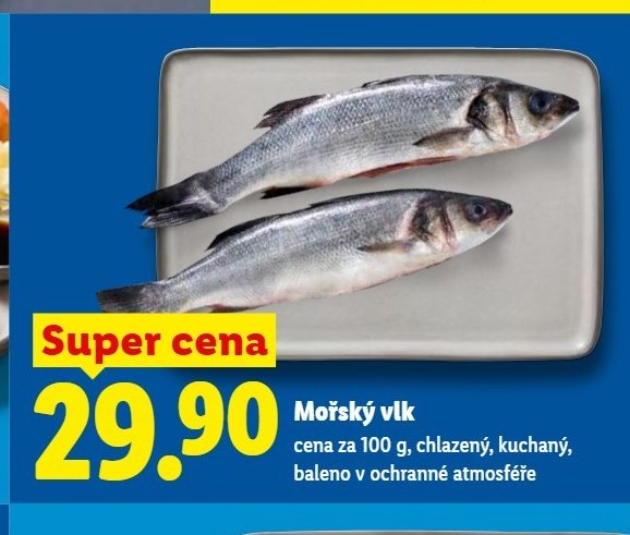Mořský vlk